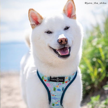 Feeling Fintastic Reversible Harness