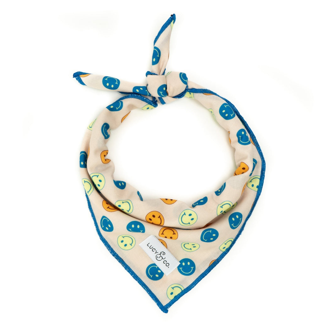 Shop Cute Dog Bandanas | Lucy &amp; Co.