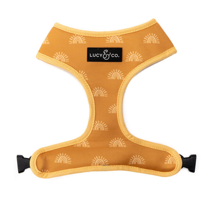 Looking Sharp Reversible Harness