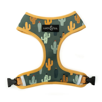 The Looking Sharp Reversible Harness