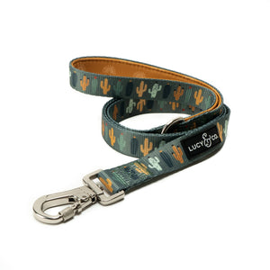 Looking Sharp Leash