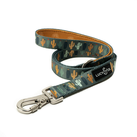 Dog Harnesses & Leashes, Cute Dog Gear