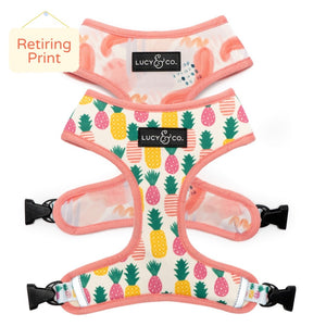 Poolside Chillin Reversible Harness