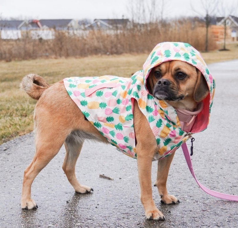 The Poolside Chillin Reversible Raincoat