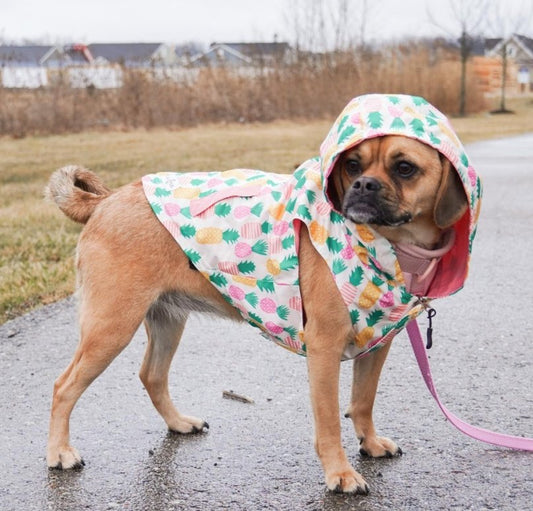 LV Rainbow Lightweight Dog Raincoat