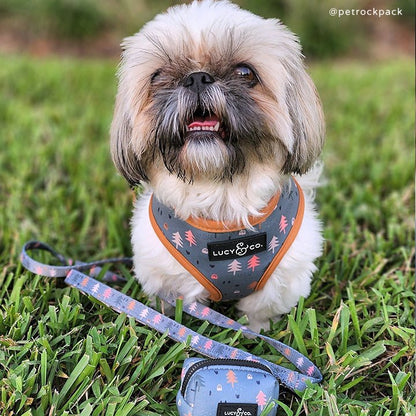 Take a Hike Leash