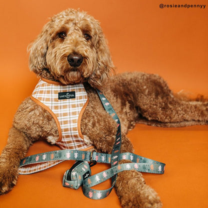 Take a Hike Leash